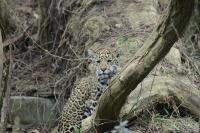 IMG_7788-11.jpg