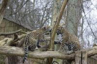 IMG_7851-11.jpg