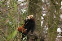 IMG_8209-11.jpg