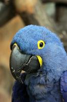 IMG_8227-11.jpg
