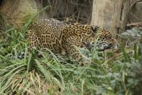 IMG_8347-11.jpg