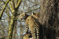 IMG_9158-11.jpg