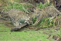 IMG_9658-11.jpg