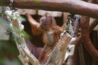 IMG_1401-11.jpg