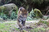 IMG_1921-11.jpg