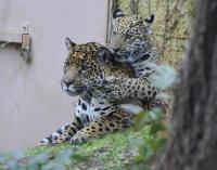 IMG_1997-11.jpg