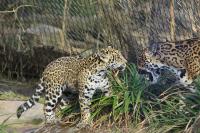 IMG_2285-11.jpg