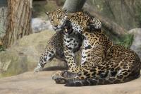 IMG_4164-11.jpg