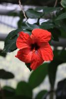 IMG_4275-11.jpg