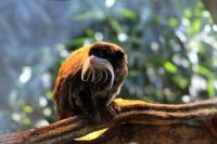 IMG_6523-1.jpg