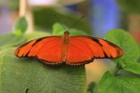 IMG_5375-1.jpg
