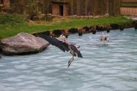 IMG_5629-1.jpg