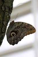 IMG_5775-1.jpg