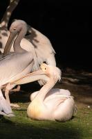 IMG_8438-11.jpg