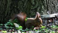 IMG_8557-1-1.jpg