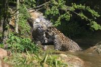 IMG_2750-11.jpg