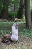 IMG_4563-11.jpg