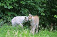 IMG_8947-11.jpg