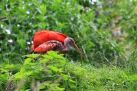 IMG_9028-11.jpg