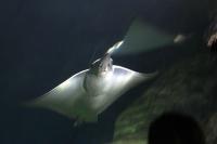 IMG_0662-11.jpg