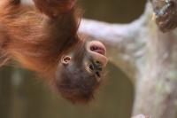 IMG_2254-11.jpg