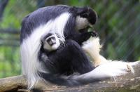 IMG_5814-11.jpg