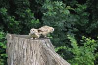 IMG_8510-11.jpg