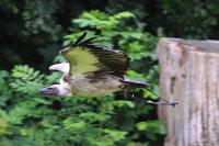 IMG_8713-11.jpg
