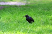 IMG_0045-11.jpg