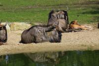 IMG_0053-11.jpg