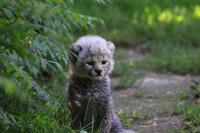 IMG_0178-11.jpg