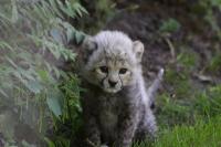 IMG_0265-11.jpg