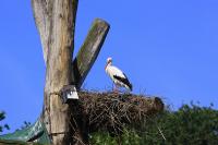 IMG_9335-11.jpg
