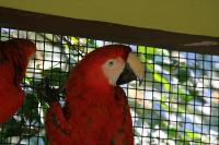 IMG_9440-11.jpg