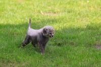 IMG_9601-11.jpg