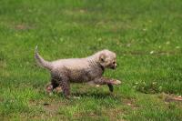 IMG_9744-11.jpg