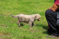 IMG_9791-11.jpg