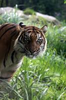 IMG_9213-11.jpg