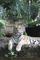 IMG_1525-11.jpg