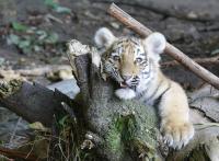 IMG_1558-11.jpg