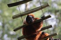 IMG_3297-11.jpg