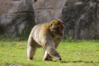 IMG_3366-11.jpg