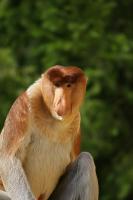 IMG_3717-11.jpg