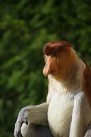 IMG_3726-11.jpg