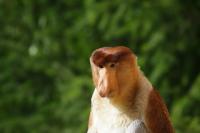 IMG_3747-11.jpg