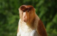 IMG_3748-11.jpg