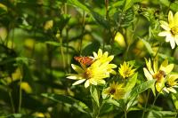 IMG_3852-11.jpg
