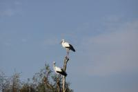 IMG_5376-11.jpg