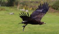 IMG_5518-11.jpg