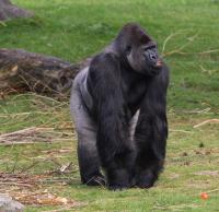 IMG_6373-11.jpg